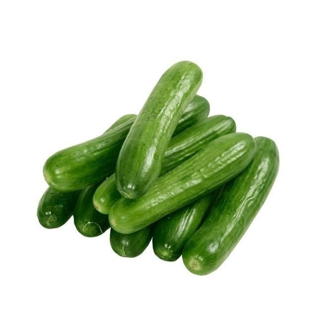 SALATALIK SILOR