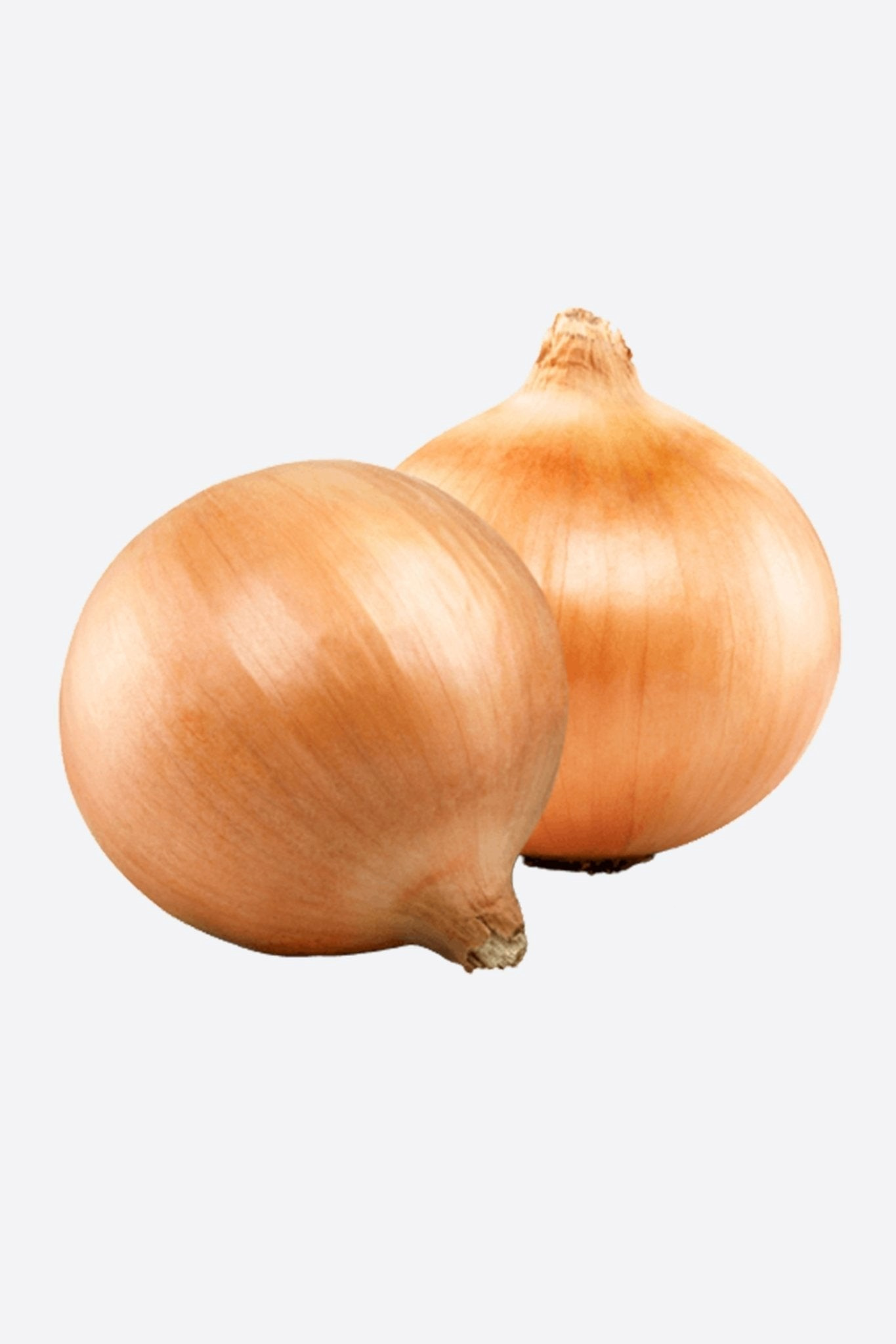 SOGAN KURU