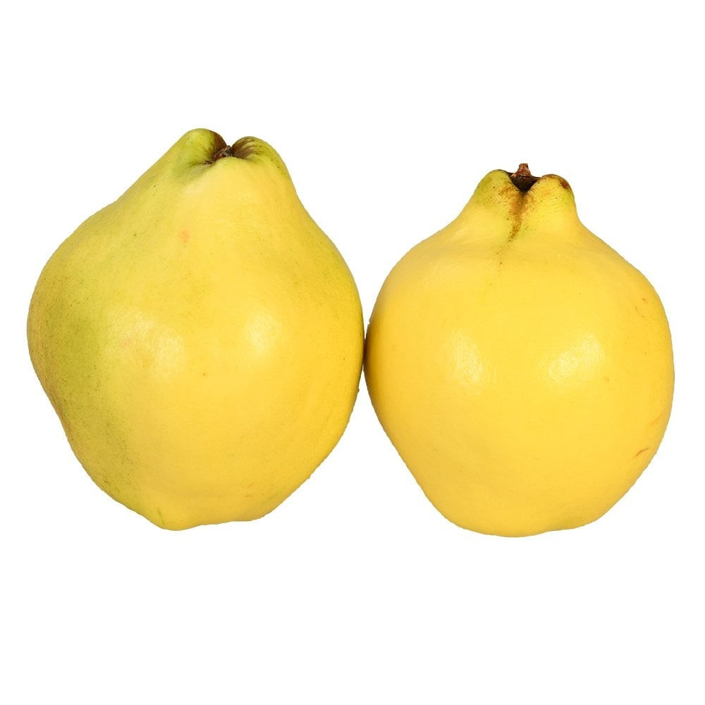 AYVA