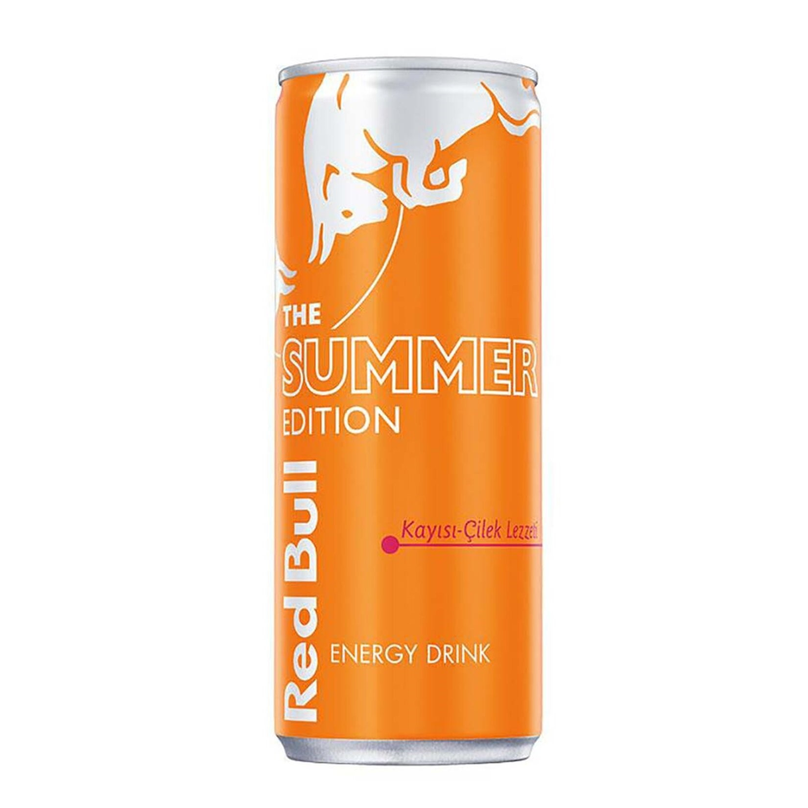 REDBULL 250 ML SUMMER EDITION
