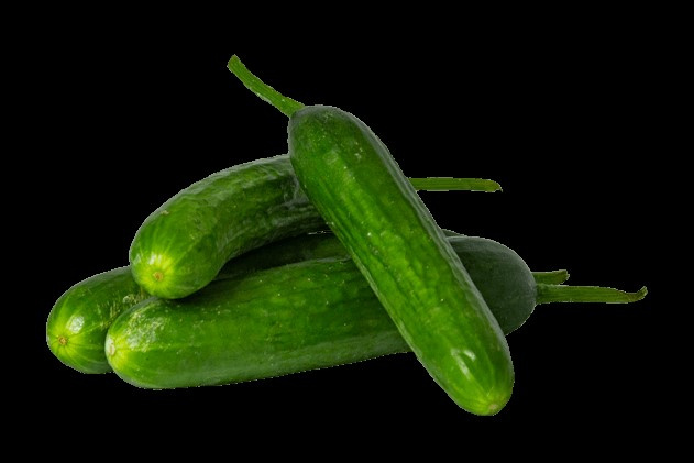 SALATALIK LUKS
